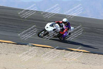 media/Jan-14-2024-SoCal Trackdays (Sun) [[2e55ec21a6]]/Bowl (11am)/